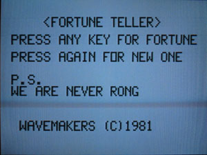 Wavemakers Fortune Teller